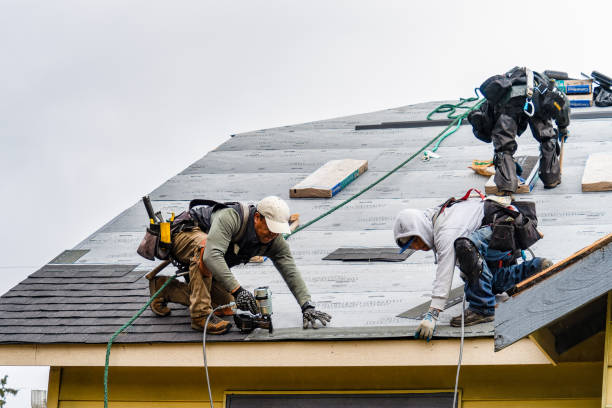 Professional Gutter Installation technician working in Tiptonville, TN